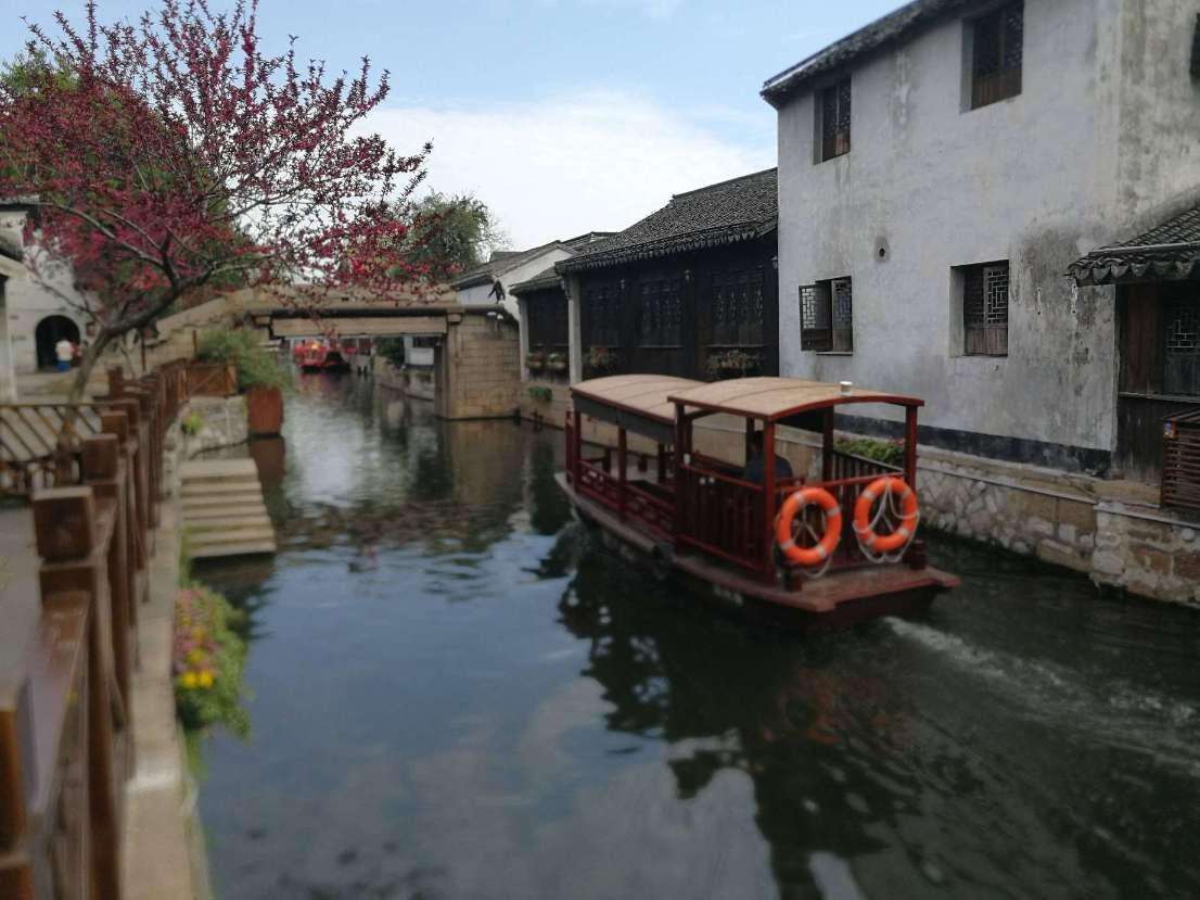 我亦人间双妙手，搔人痒处最为难：辽博 “丹青万象——齐白石和他的师友弟子们”展之二