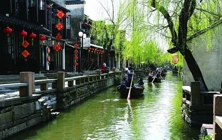 逃出林中村